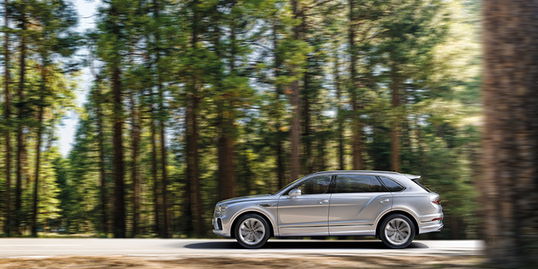 Bentley Bucuresti Bentley Bentayga Extended Wheelbase SUV in Moonbeam paint driving dynamically on a forest road